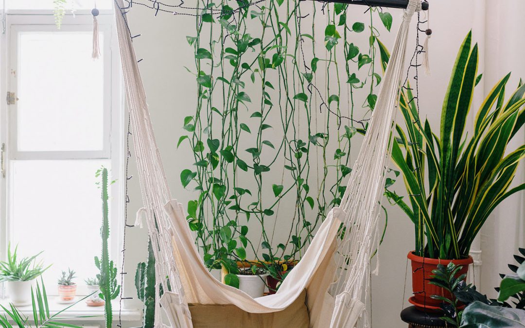 Fotel brazylijski dla dziecka – co go wyróżnia?